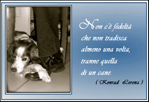 Come prenotare visita veterinaria